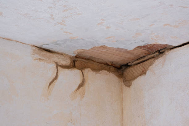 Best Basement Water Damage Restoration in USA